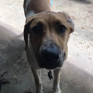 Meet your Posher, Stephen